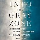 Into the Gray Zone by Adrian Owen
