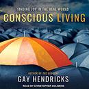 Conscious Living: Finding Joy in the Real World by Gay Hendricks