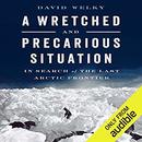 A Wretched and Precarious Situation by David Welky