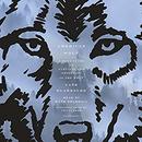 American Wolf by Nate Blakeslee