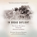In Broad Daylight by Patrick Desbois