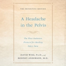 A Headache in the Pelvis by David Wise