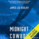 Midnight Cowboy by James Leo Herlihy