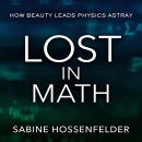 Lost in Math: How Beauty Leads Physics Astray by Sabine Hossenfelder