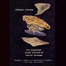 Stream System by Gerald Murnane