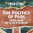 The Politics of Pain by Fintan O'Toole