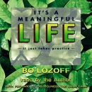 It's a Meaningful Life, It Just Takes Practice by Bo Lazoff