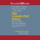 Big Wonderful Thing by Stephen Harrigan