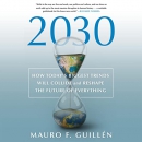 2030: How Today's Biggest Trends Will Collide by Mauro F. Guillen