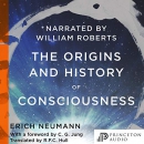 The Origins and History of Consciousness by Erich Neumann
