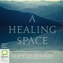 A Healing Space: Befriending Ourselves in Difficult Times by Matt Licata