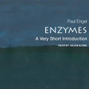 Enzymes: A Very Short Introduction by Paul Engel