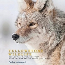 Yellowstone Wildlife by Paul A. Johnsgard