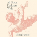 All Down Darkness Wide by Sean Hewitt