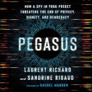 Pegasus by Laurent Richard