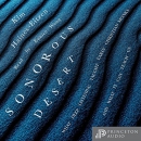 Sonorous Desert by Kim Haines-Eitzen