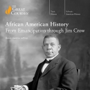 African American History by Hasan Kwame Jeffries