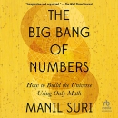 The Big Bang of Numbers by Manil Suri