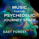 Music for the Psychedelic Journey Space by East Forest