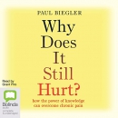 Why Does It Still Hurt? by Paul Biegler