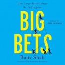 Big Bets: How Large-Scale Change Really Happens by Rajiv Shah
