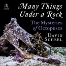 Many Things Under a Rock: The Mysteries of Octopuses by David Scheel