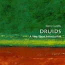 Druids: A Very Short Introduction by Barry Cunliffe