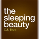 The Sleeping Beauty by C.S. Evans