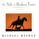 The Salt of Broken Tears by Michael Meehan