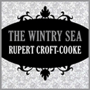 The Wintry Sea by Rupert Croft-Cooke