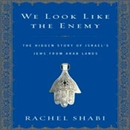 We Look Like the Enemy by Rachel Shabi