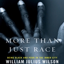 More Than Just Race by William Julius Wilson