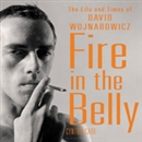 Fire in the Belly: The Life and Times of David Wojnarowicz by Cynthia Carr