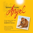 Letters from Angel by Martin P. Levin