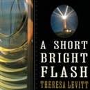 A Short Bright Flash by Theresa Levitt
