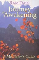 Journey of Awakening by Ram Dass