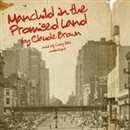 Manchild in the Promised Land by Claude Brown