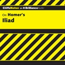 Iliad: CliffsNotes by Bob Linn