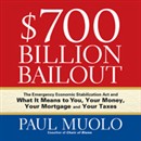 $700 Billion Bailout by Paul Muolo