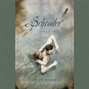 Schroder by Amity Gaige