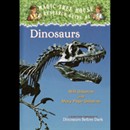 Magic Tree House, Book 1: Dinosaurs Before Dark by Mary Pope Osborne