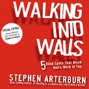 Walking into Walls: 5 Blind Spots That Block God's Work in You by Stephen Arterburn
