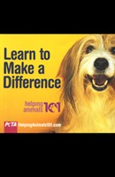 Helping Animals 101: Learn to Make a Difference