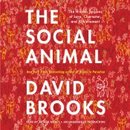 The Social Animal by David Brooks