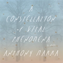 A Constellation of Vital Phenomena by Anthony Marra