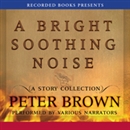 A Bright Soothing Noise by Peter Brown