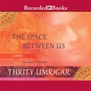 The Space Between Us by Thrity Umrigar