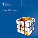 How We Learn by Monisha Pasupathi