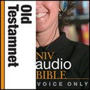 NIV Audio Bible Old Testament Voice Only