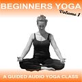 Beginners Yoga Vol 1 - Yoga 2 Hear by Sue Fuller